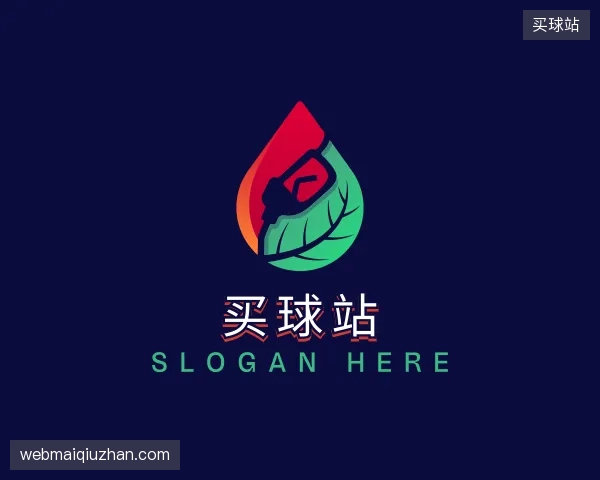 初识买球站官方